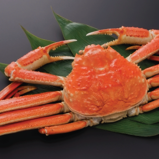 Crab