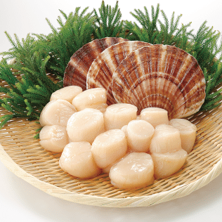 Scallops