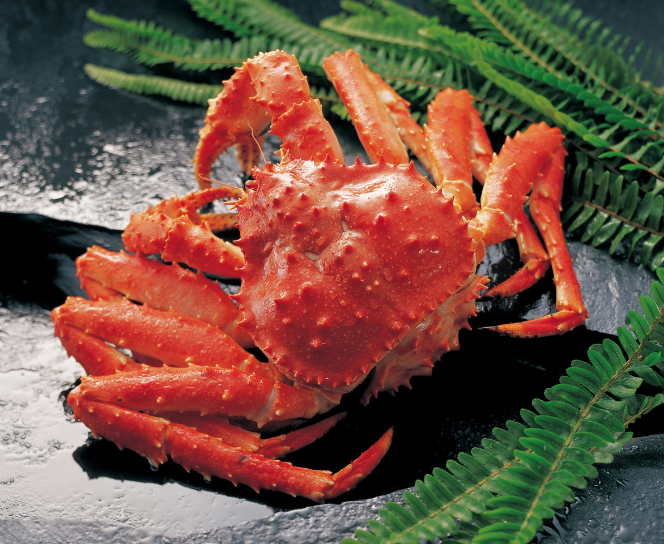 King Crab